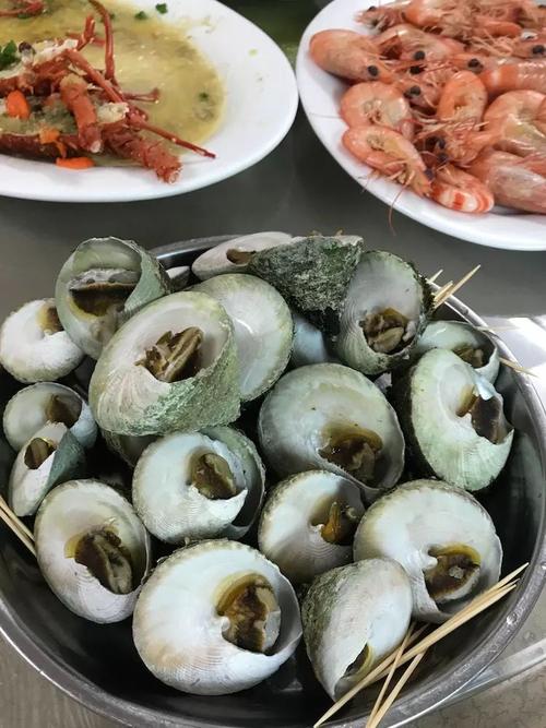 翁田的野生海鲜远近闻名,这白面螺,可不是那里都有的