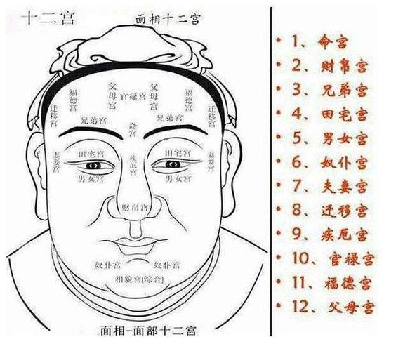 "天庭饱满,地阁方圆"是什么意思?真的是有福之人的面相吗?