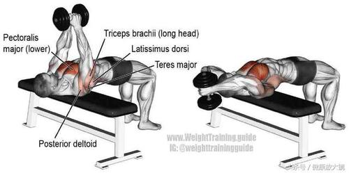 图解安全使用哑铃的32种锻炼方式