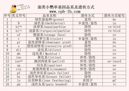 了解遗传-牡丹鹦鹉爱好者之家