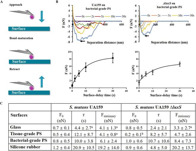 controlled through adhesion force sensing by initial colonizers