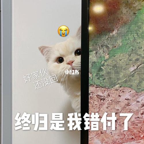 终归是我错付了01_表情包_宝宝表情包_素材_表情包