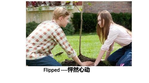 怦然心动英文介绍ppt