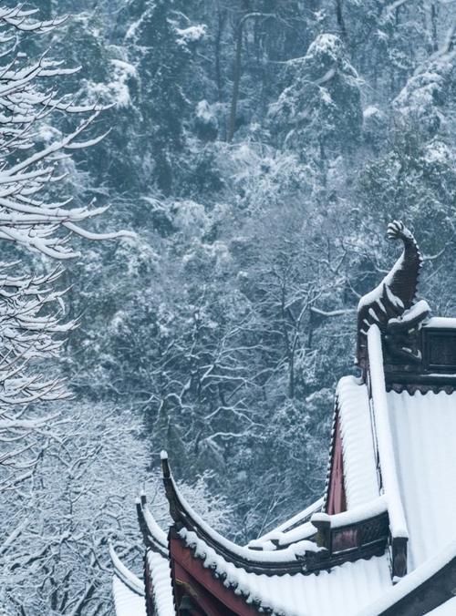 杭州雪景美如诗