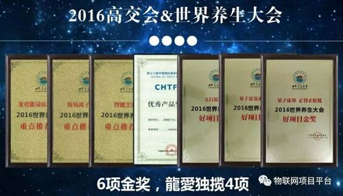 带你全面了解龙爱量子