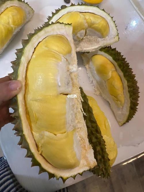 泰国青尼榴莲_榴莲_泰国_美食_美食日常_美食_美食展示