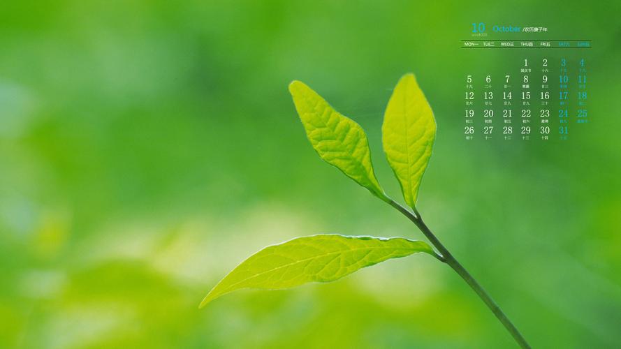 2020年10月小清新养眼绿叶高清日历壁纸