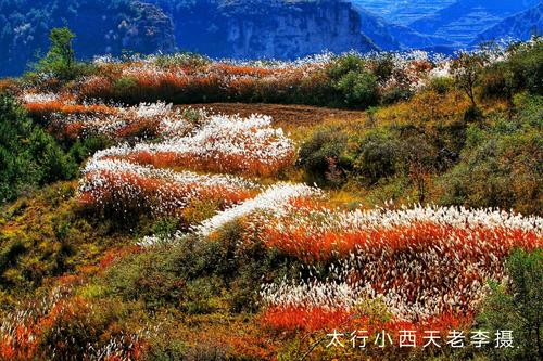 平顺小西天秋景醉人