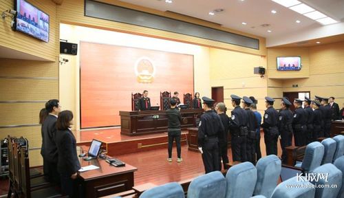 石家庄市裕华区法院公开宣判一起涉恶犯罪案件