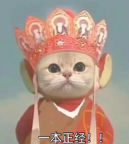 宝子们 有没有认真学习/记笔记的可爱表情包呀