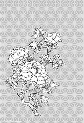 牡丹花铅笔画手抄报 手抄报简单又好看