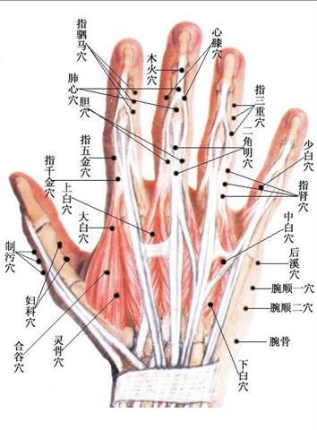 什么叫倒马针参考《董氏奇穴针灸学》倒马针:系利用两针或三针并列