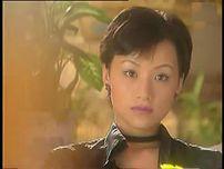 红色警戒(2001年而立执导警匪题材的电视剧)_百度百科