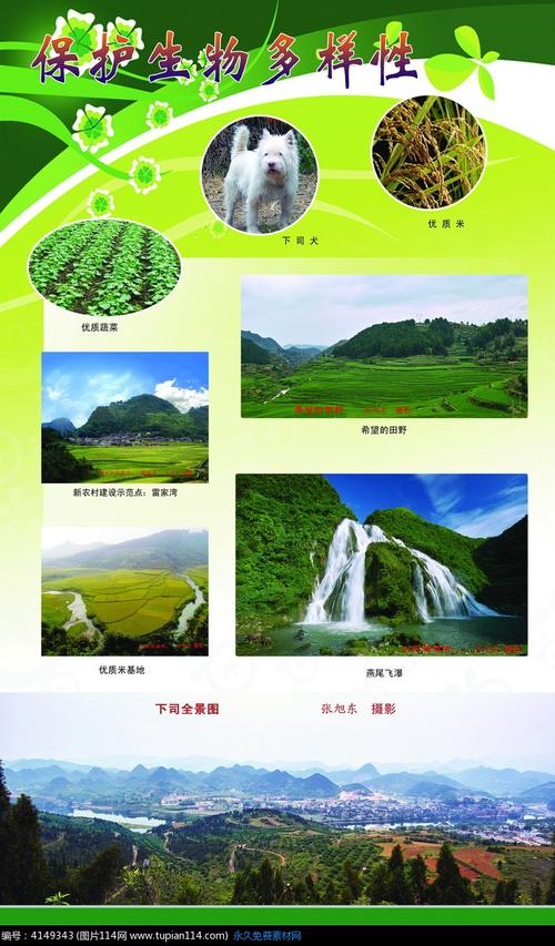 保护生物多样性宣传展板,其他节日psd素材免费下载