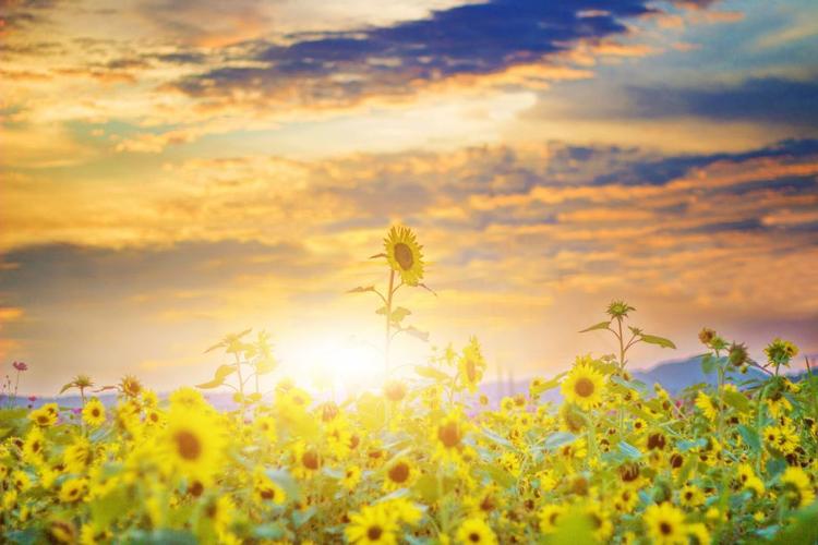 微悦读|青年节,愿你依旧少年心