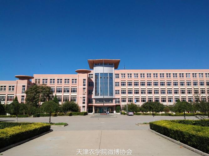 天农版《成都》_天津农学院微博协会_新浪博客