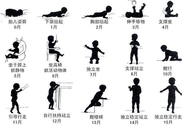 此时虽然脖子肌肉的发育还不能够支撑起头部,但是在他俯卧时,头可以仰