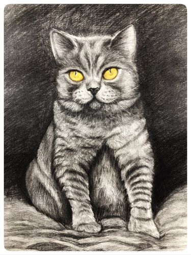 8k素描大猫