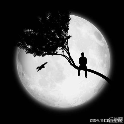 哦!又是一夕月亮了