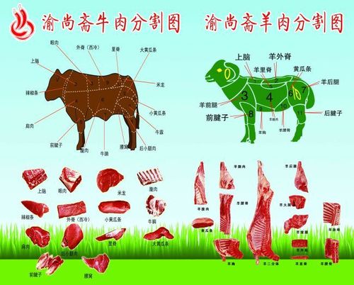 牛羊肉分割图,牛肉分割图,,羊肉分割图,,,牛羊肉分割图分体,psd,绿色
