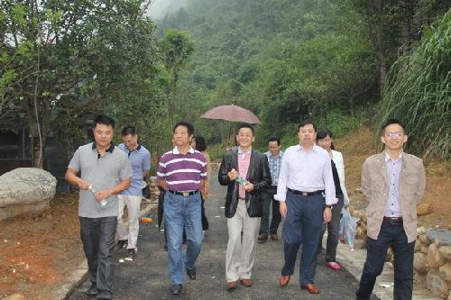 张家界市人大常委会调研张家界禾田居度假酒店项目建设
