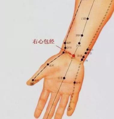 只要大腿后侧的大筋有拉伸的感觉就可以了,否则容易拉伤韧带,经络也不