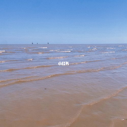 上海 碧海金沙海滩_出行_人文风光展示