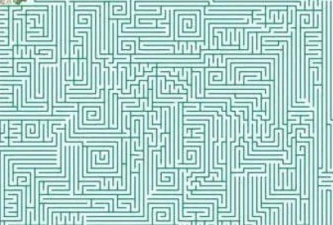 心理学:第一印象选择最难的迷宫图,测你的头脑能战胜多少人?