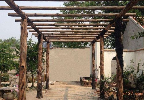 木花架维护保养_庭院花架作用,自制庭院花架 ,庭院花架,庭院花架凉棚