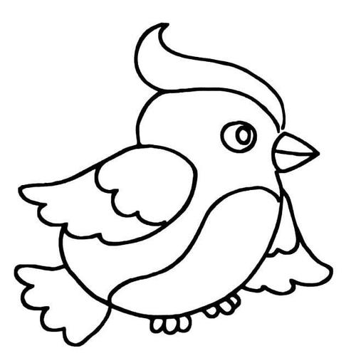 小编给大家分享的漂亮的小鸟简笔画,让我们一起跟着图片来学习画画吧!