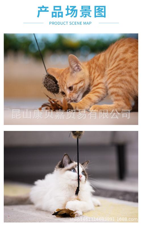 gigwi贵为猫玩具逗猫棒羽毛手持逗猫棒宠物猫咪玩具