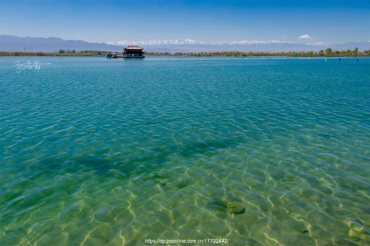 【张掖市高台大湖湾】走遍张掖18. (共p)