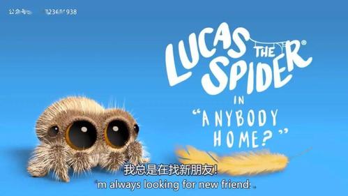 完结 小蜘蛛卢卡斯《lucas the spider》24个英文动画