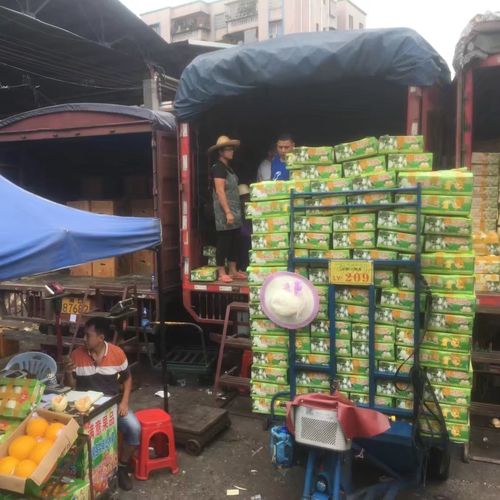 香瓜批发 香瓜代销 东莞下桥水果批发市场