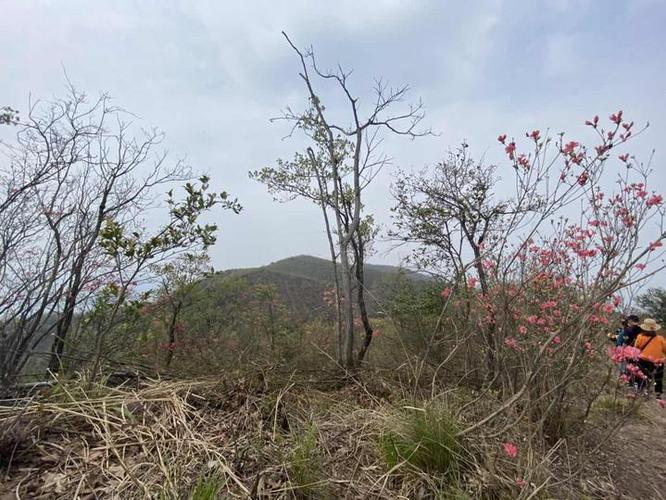 金龙山_广德县好玩吗,广德县怎么样,广德县旅游攻略,广德县自由行攻略