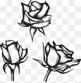 素描玫瑰图片大全