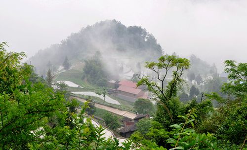 纪检人镜头醉美大梁山