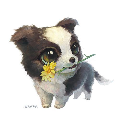 【萌宠 by 雪娃娃】边牧yummy