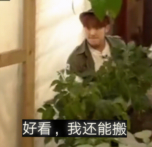 次人实用表情包持续更新