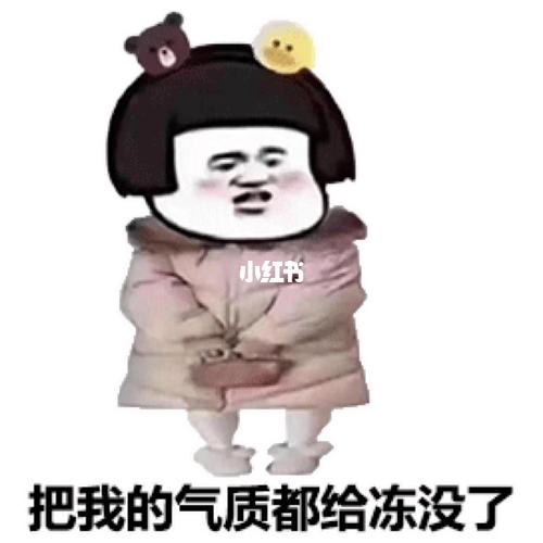 天气太冷的沙雕表情包_表情包_创业_沙雕搞笑_素材