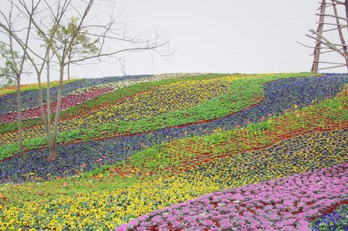 自贡花香田园