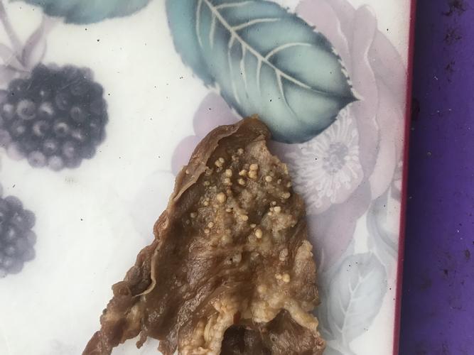 今天吃火锅,看到牛肉片里有好多白色的颗粒,请问大神能告诉我这是什么