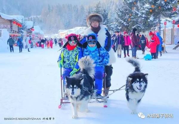 是否可以带孩子去雪乡?真实的"爸爸去哪儿"版告诉你