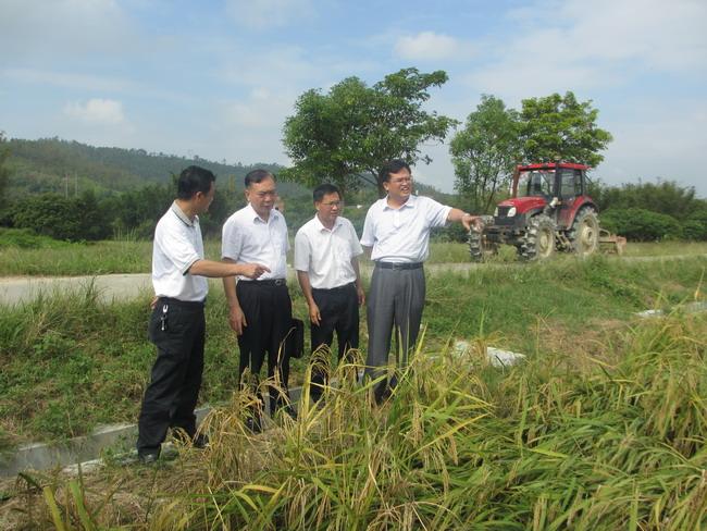 惠州市农业局局长詹小东,市畜牧兽医局长李冠源,市农业局副局长
