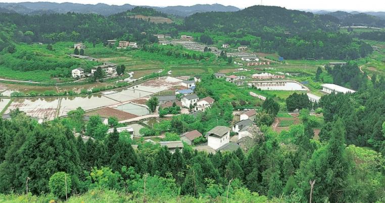 蓬溪县常乐镇拱市村计划5年内打造成全国乡村振兴示范村