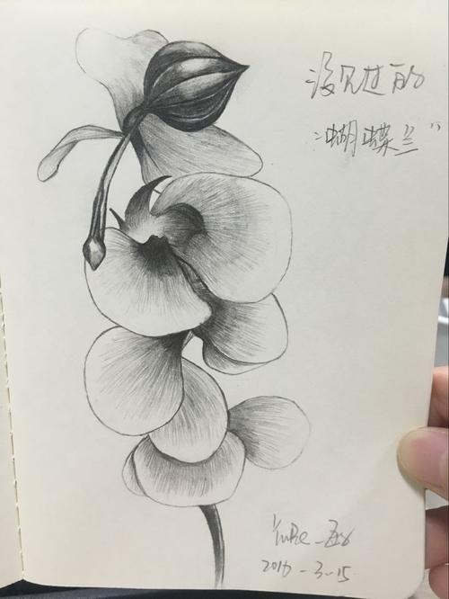 花系列铅笔手绘|插画|创作习作|长长长长头发 - 原创作品 - 站酷