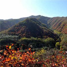 中国灵宝寺河山苹果主题公园