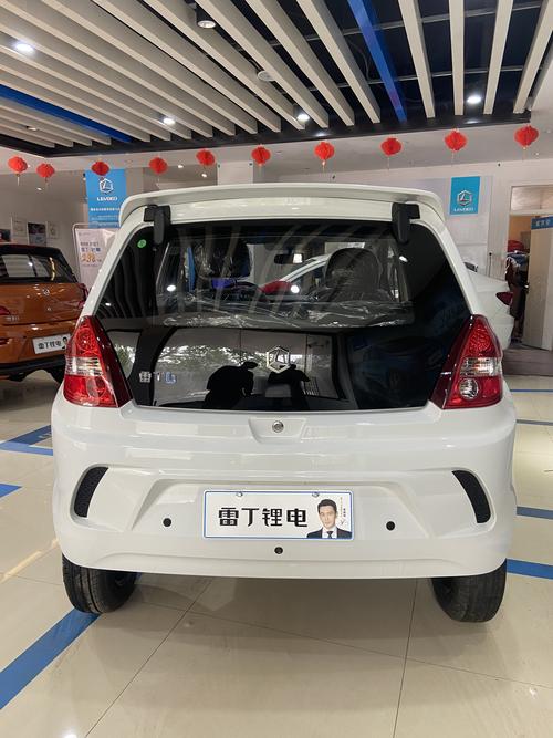 雷丁锂电d80电动汽车四轮轿车全封闭成年人家用代步电动四轮车