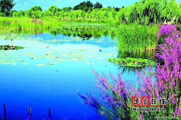 十堰张湾黄龙湿地公园顺应"外修生态内修人文"的大格局