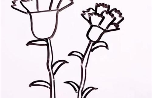 教师节康乃馨简笔画的画法